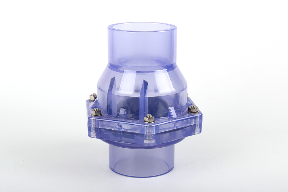 绥滨透明翻板式止回阀